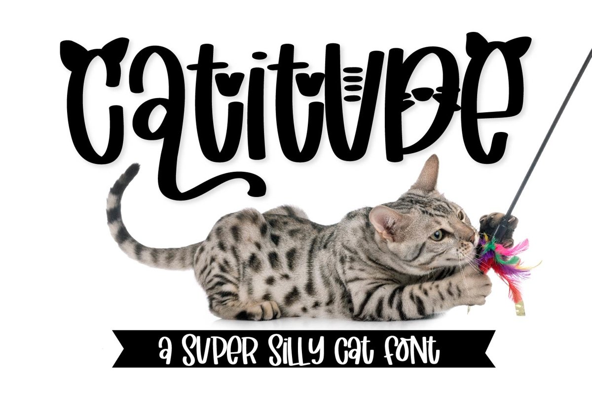 Catitude - A sassy cat font example image 1