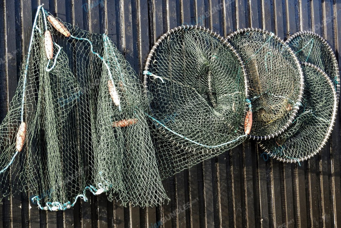 Fishing Nets example image 1