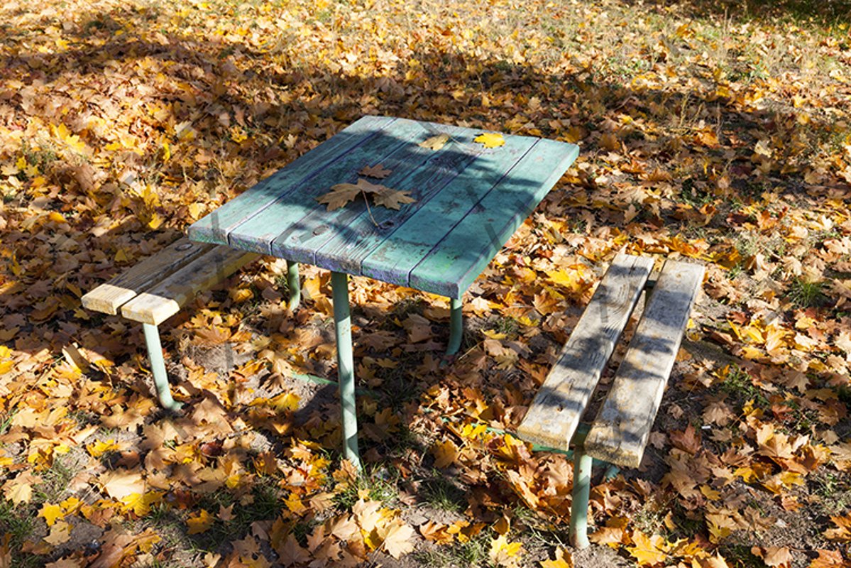 Autumn bench table park example image 1
