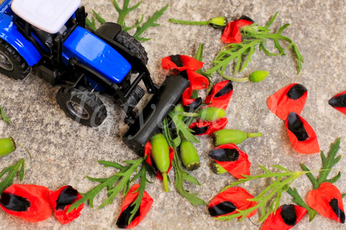 Toy tractor, excavator removing red poppies, corn poppy. example image 1