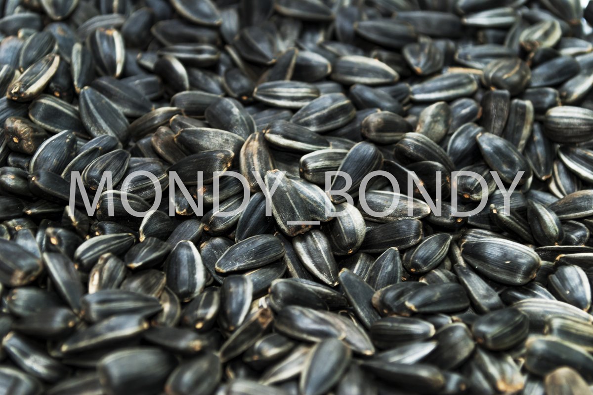 Sunflower seeds close up. Texture example image 1