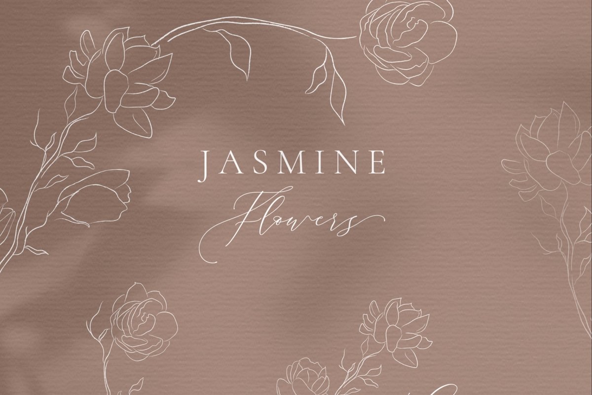 Line drawing White Jasmine Flower illustrations. Wreaths. example image 1
