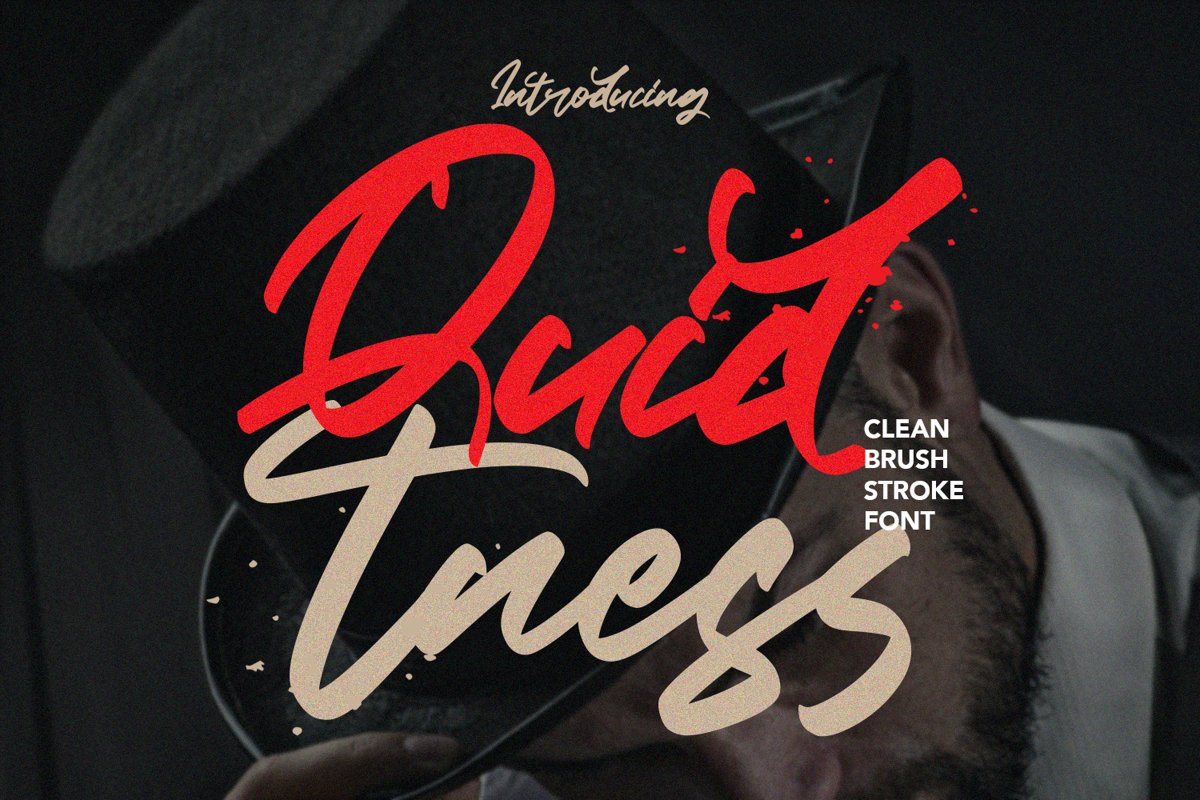 Quidtness - Clean Brush Stroke Font example image 1