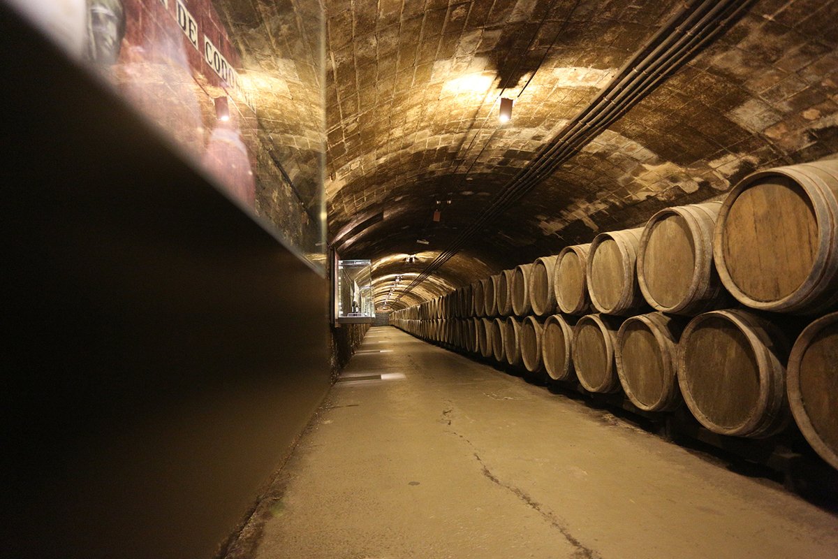 Stock photo of winery production in italy example image 1