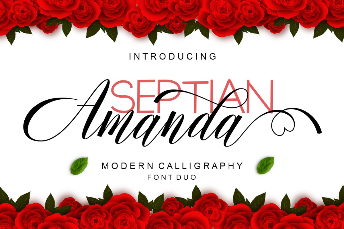 Amanda Script Font Duo example image 1