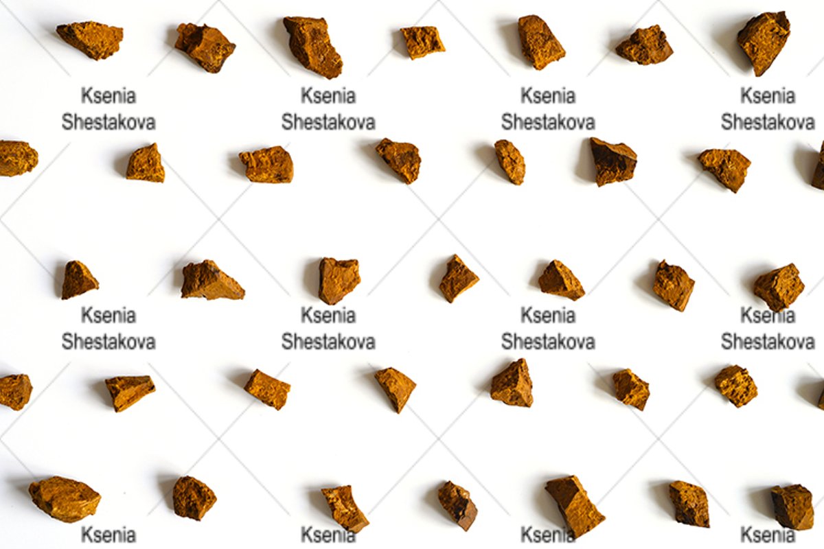 chaga mushroom broken pieces of birch tree fungus. pattern example image 1