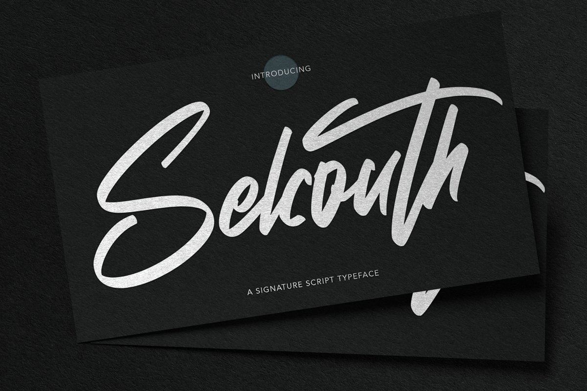 Selcouth - Signature Script Font example image 1