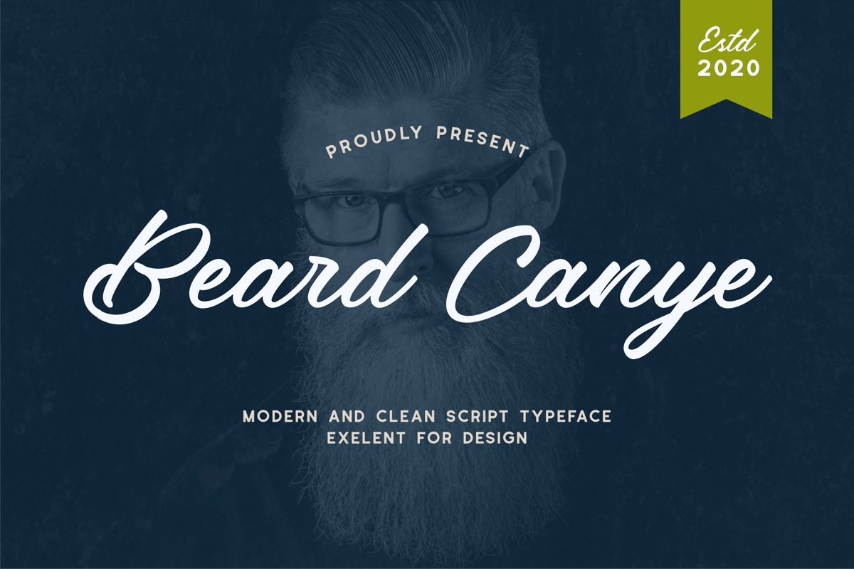 Beard canye - Modern And Clean Script Typeface example image 1