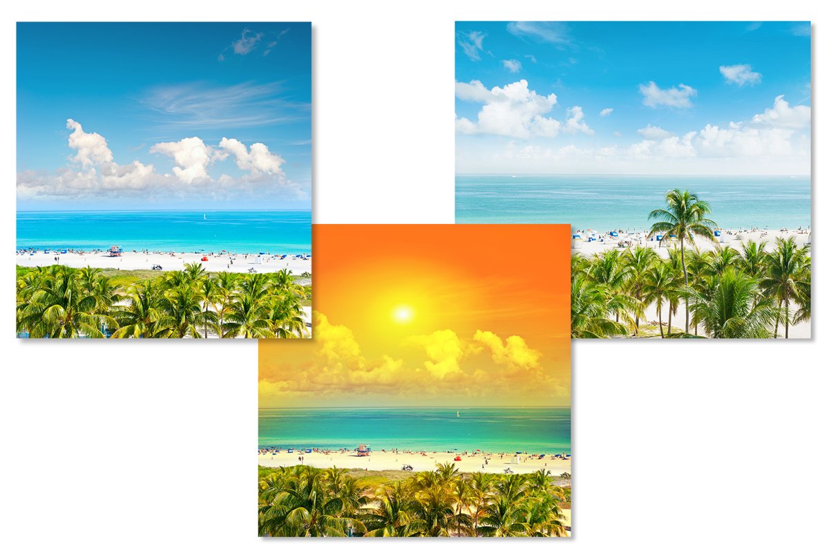 Landscape with blue sky palm trees. Sunset 3 JPG example image 1