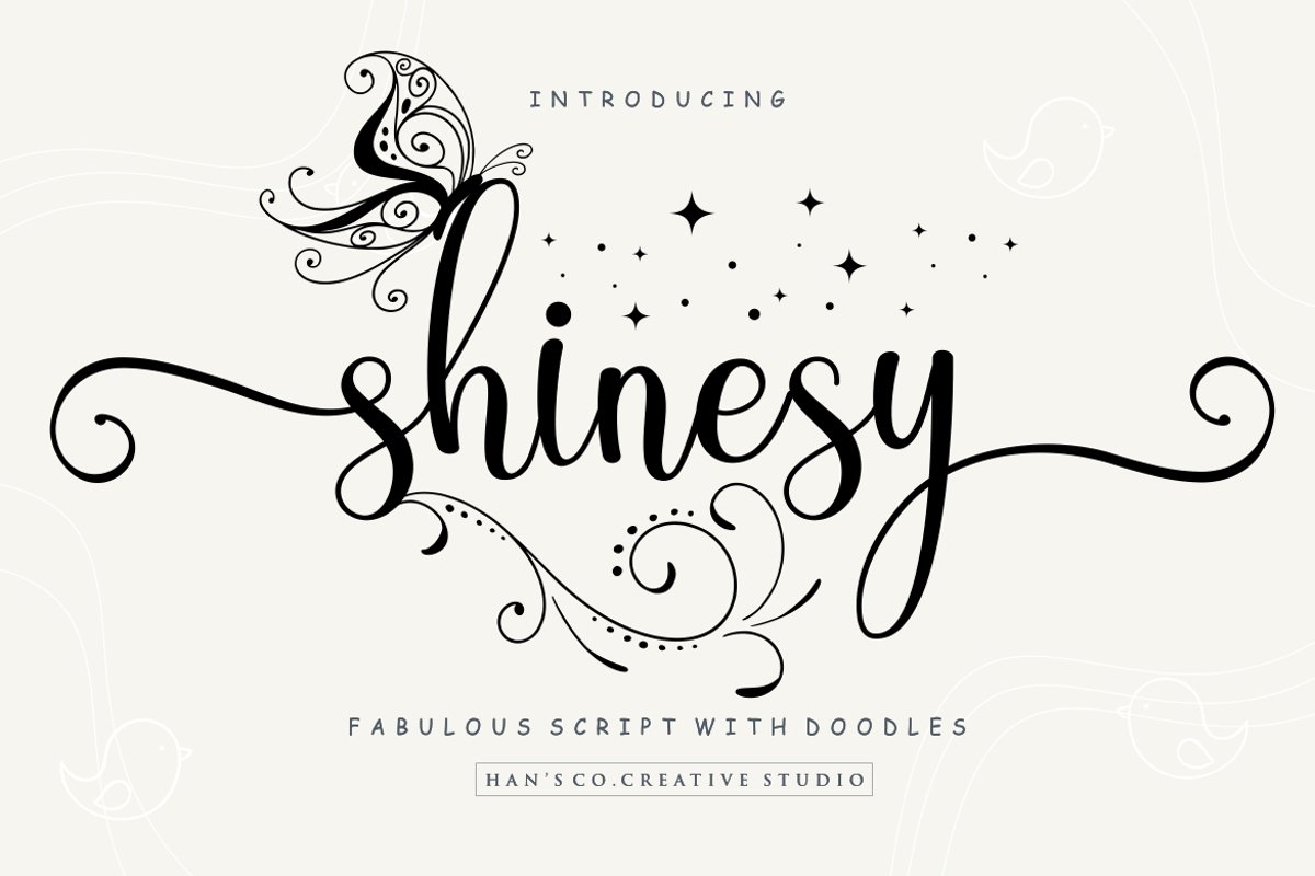 Shinesy example image 1