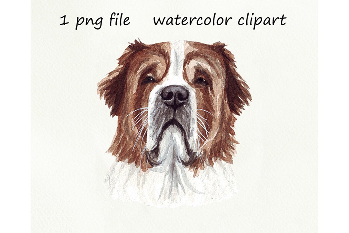 Watercolor dog png, Dog St. Bernard, hand drawn example image 1