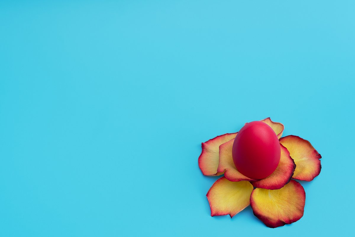Red Easter egg stands in yellow flower made of rose petals example image 1