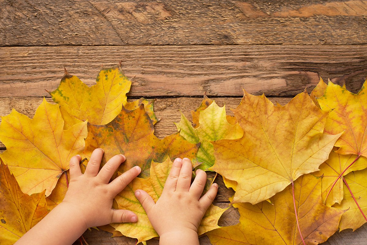 children's hands on fallen leaves on wooden background . example image 1