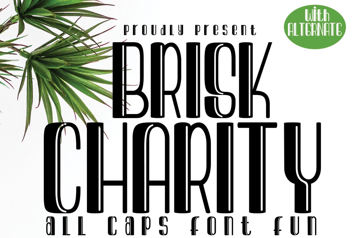 Brisk Charity example image 1