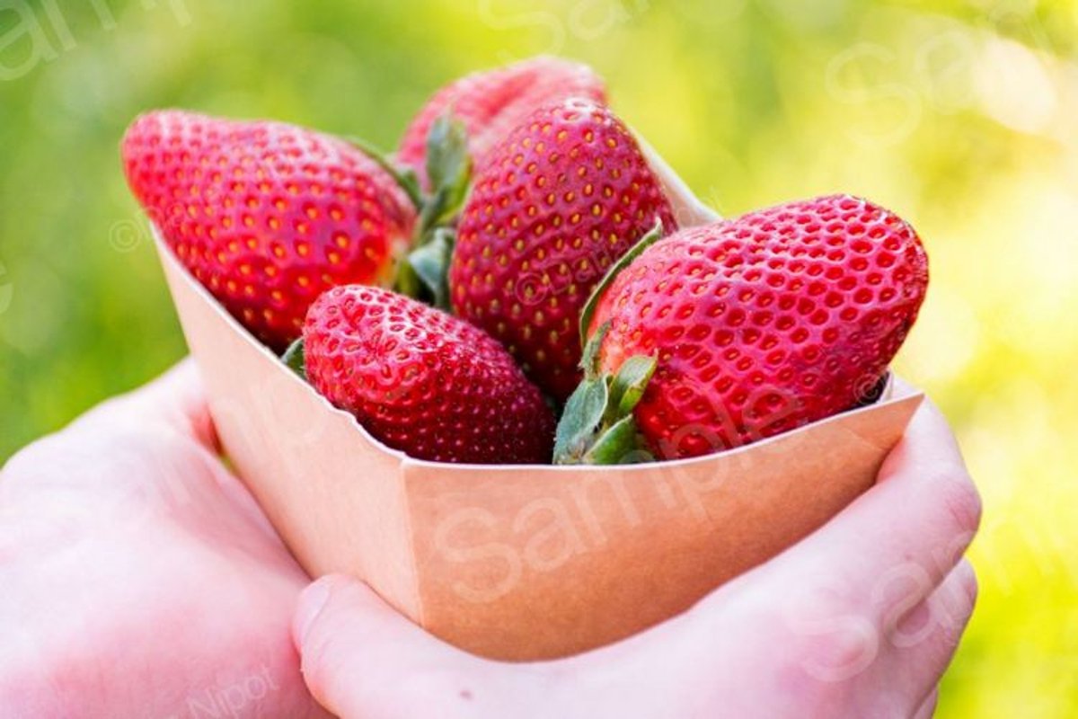 Strawberries in recyclable paper box example image 1