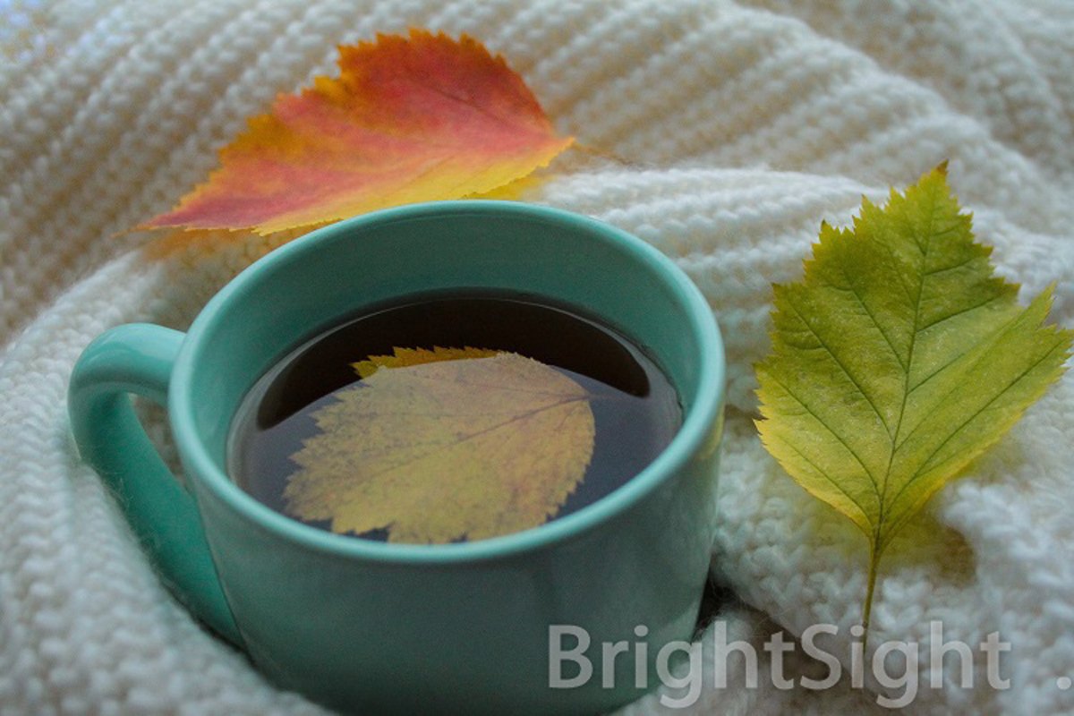 Autumn mood - sweater, leaves & cup example image 1