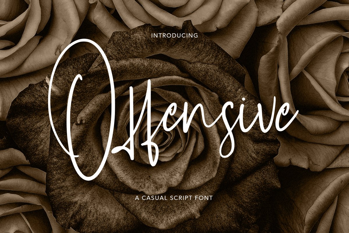 Offensive - Casual Script Font example image 1