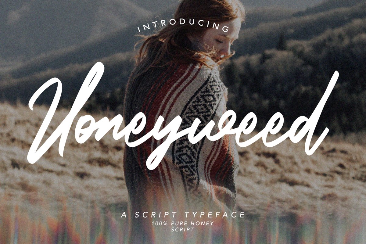Honeyweed - Script Typeface Font example image 1