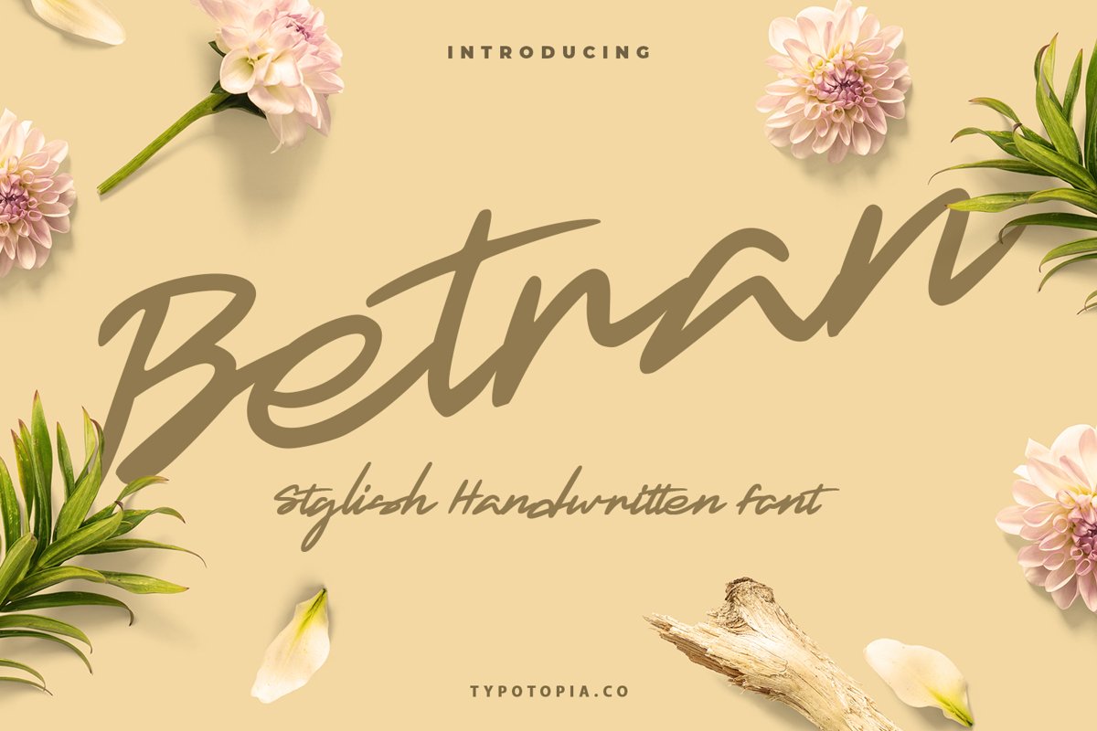 Betran Hand Drawing Font example image 1