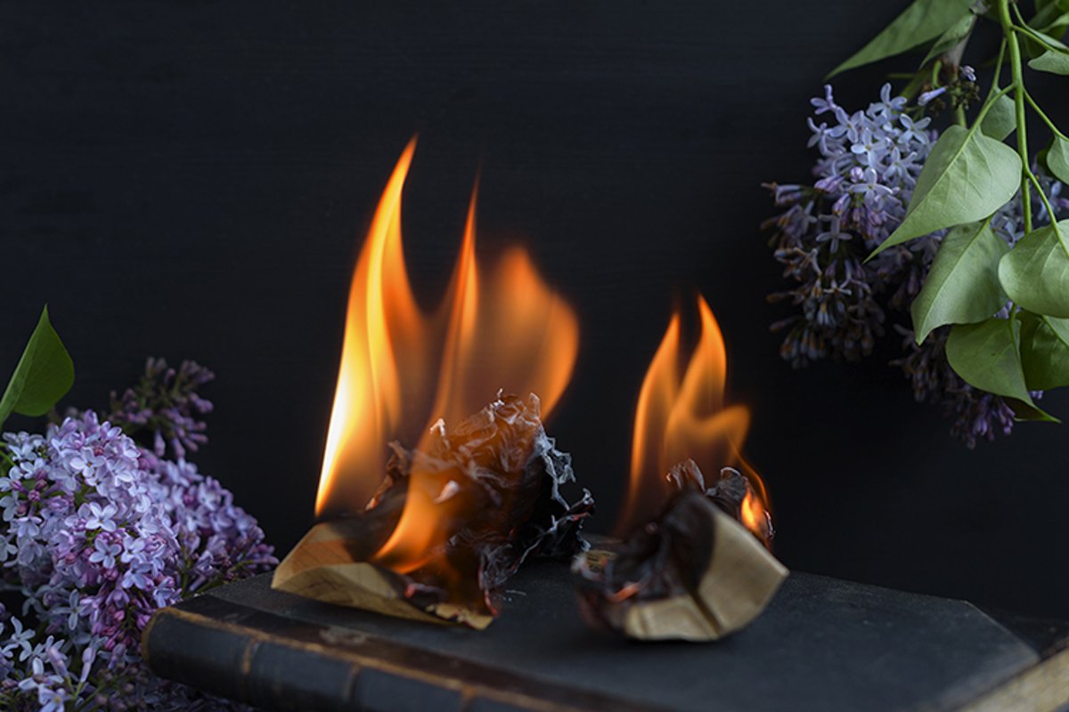 book is burning example image 1