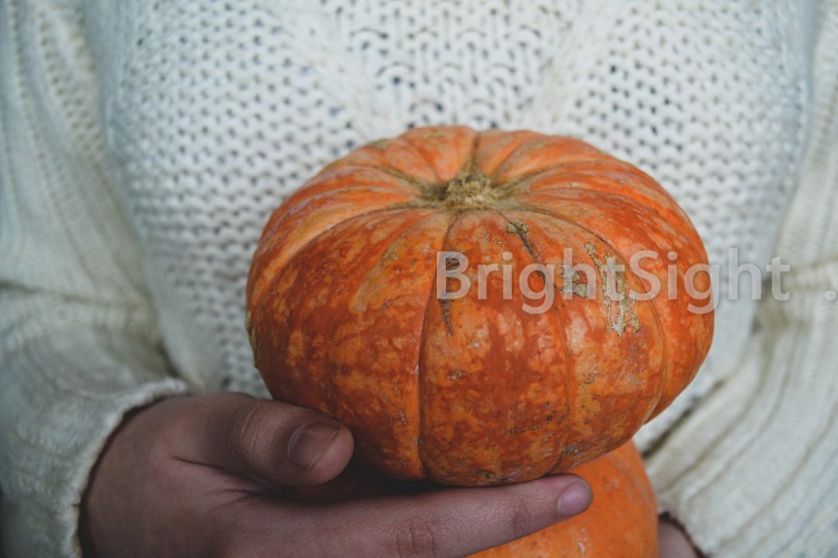 Holding pumpkins example image 1