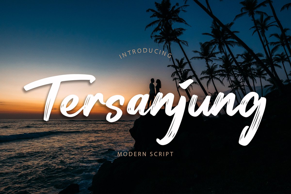 Tersanjung Modern Script Brush Font example image 1