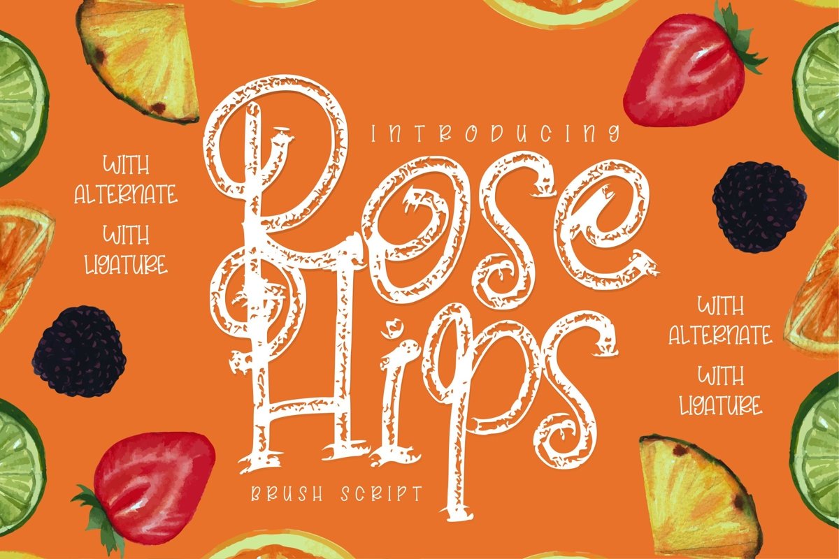 Rose Hips | Decorative Fruit Font example image 1