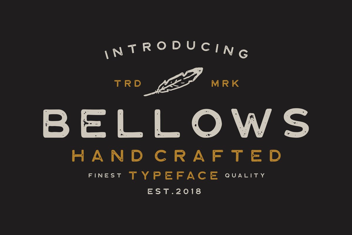 Bellows Typeface example image 1