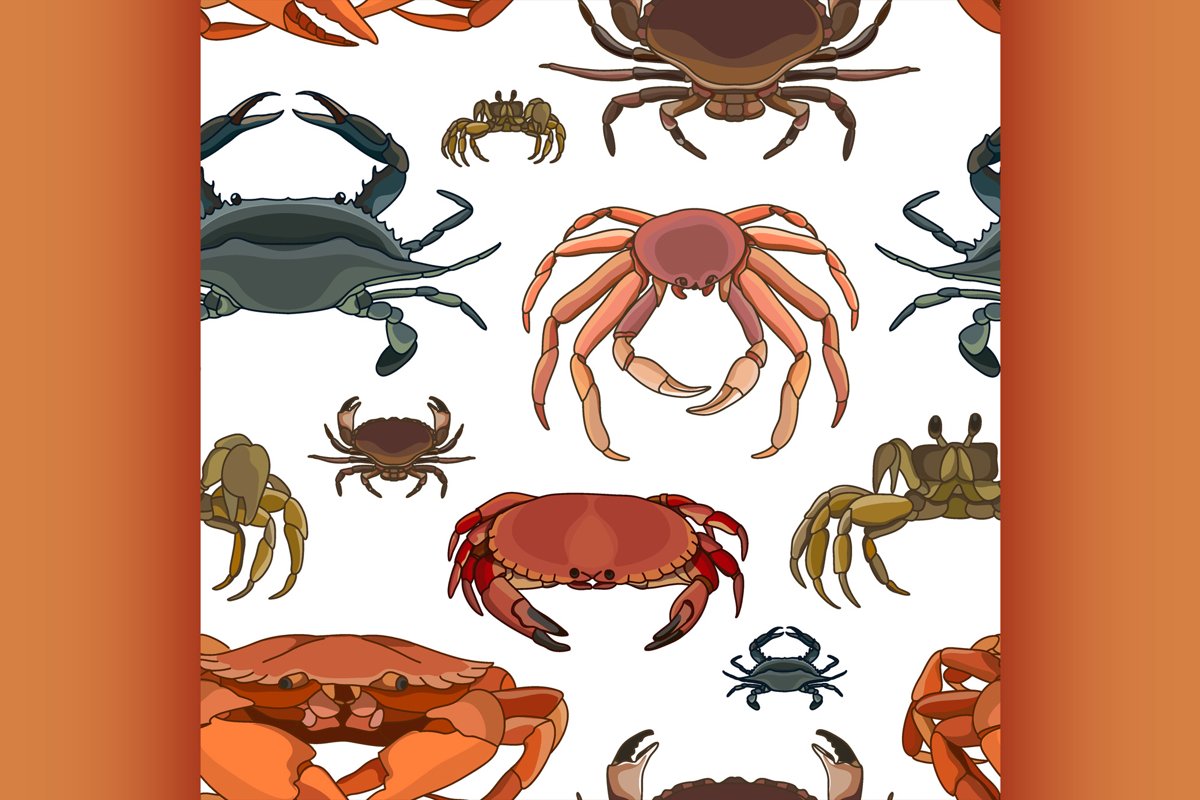 Crabs vector set pattern example image 1