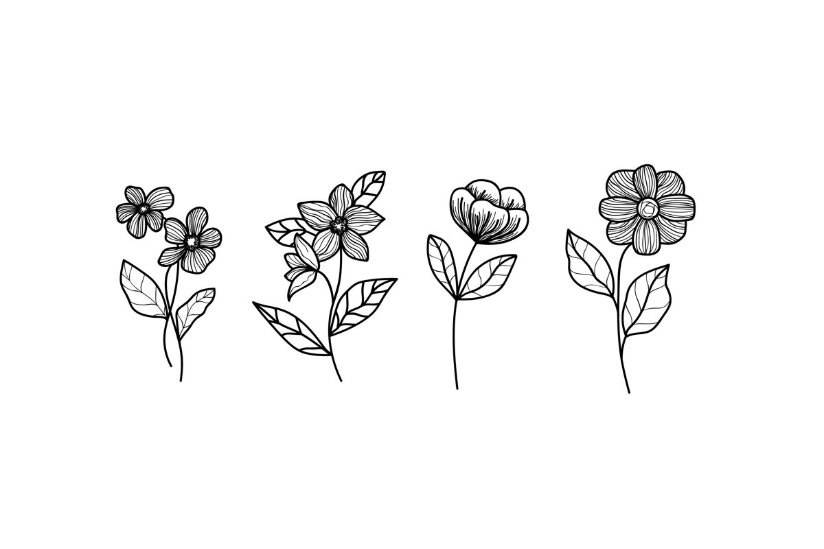 Hand Drawn Herbs & Wild Flowers example image 1