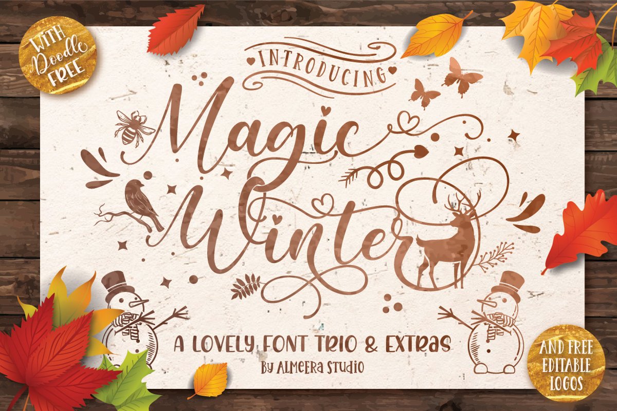 Magic Winter Font Trio & Extras example image 1