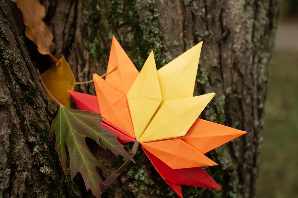 Autumn concept background traditional paper craft handmade example image 1