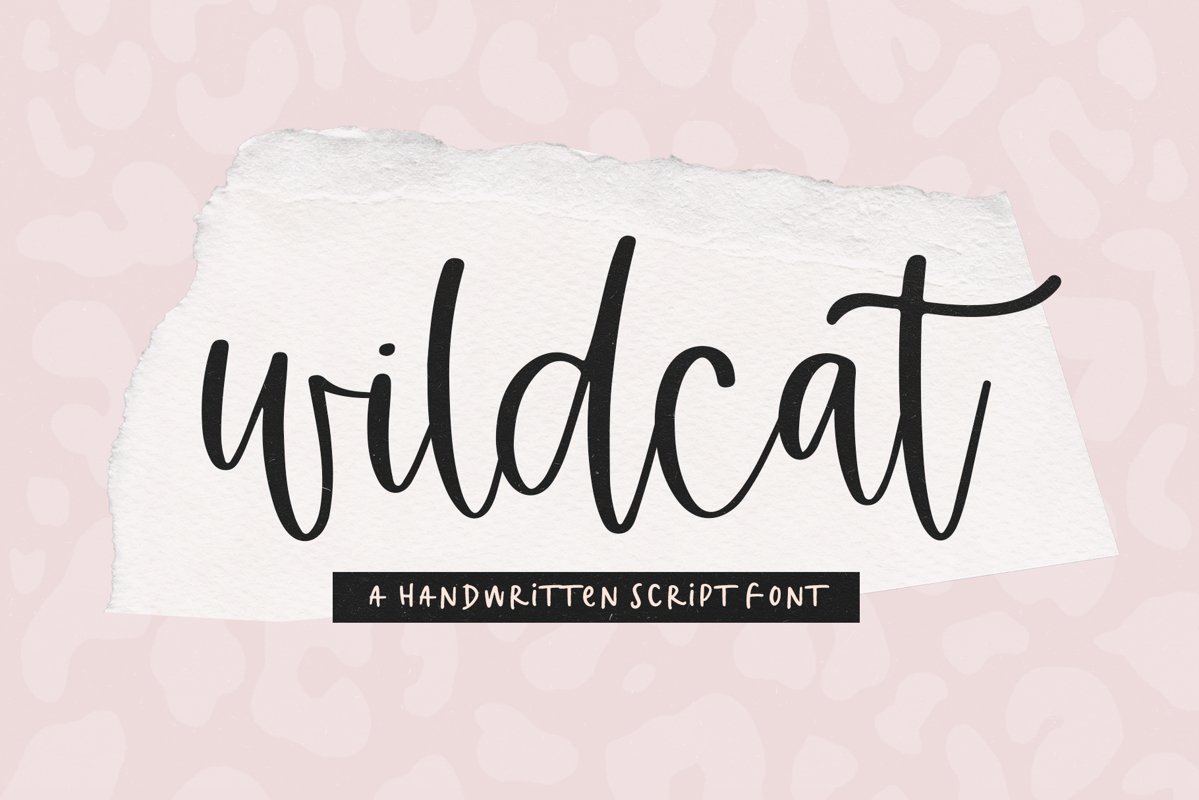 Wildcat - A Handwritten Script Font example image 1