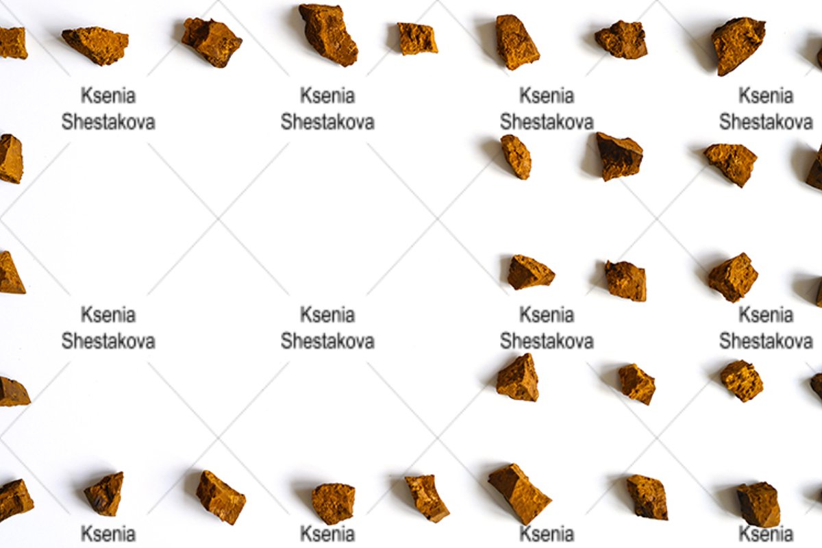 chaga mushroom broken pieces of birch tree fungus. pattern example image 1