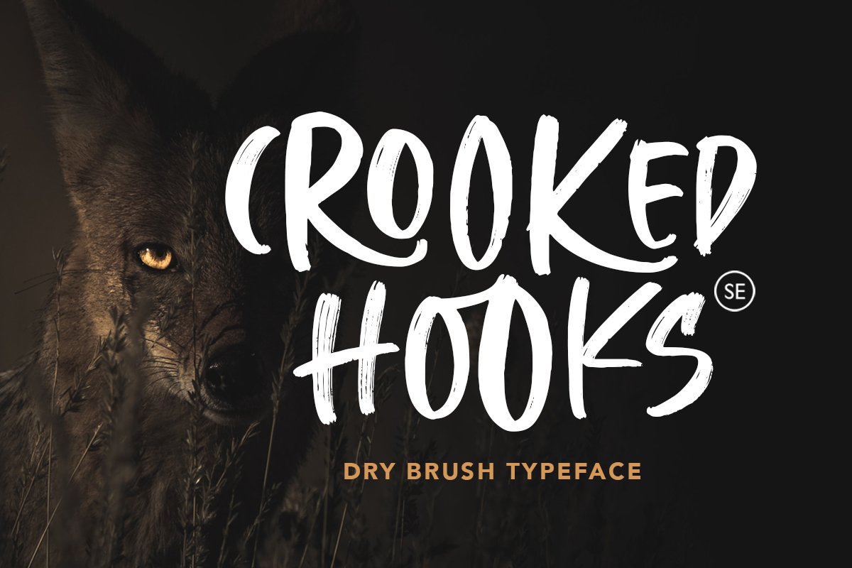 Crooked Hooks - Dry Brush Font example image 1