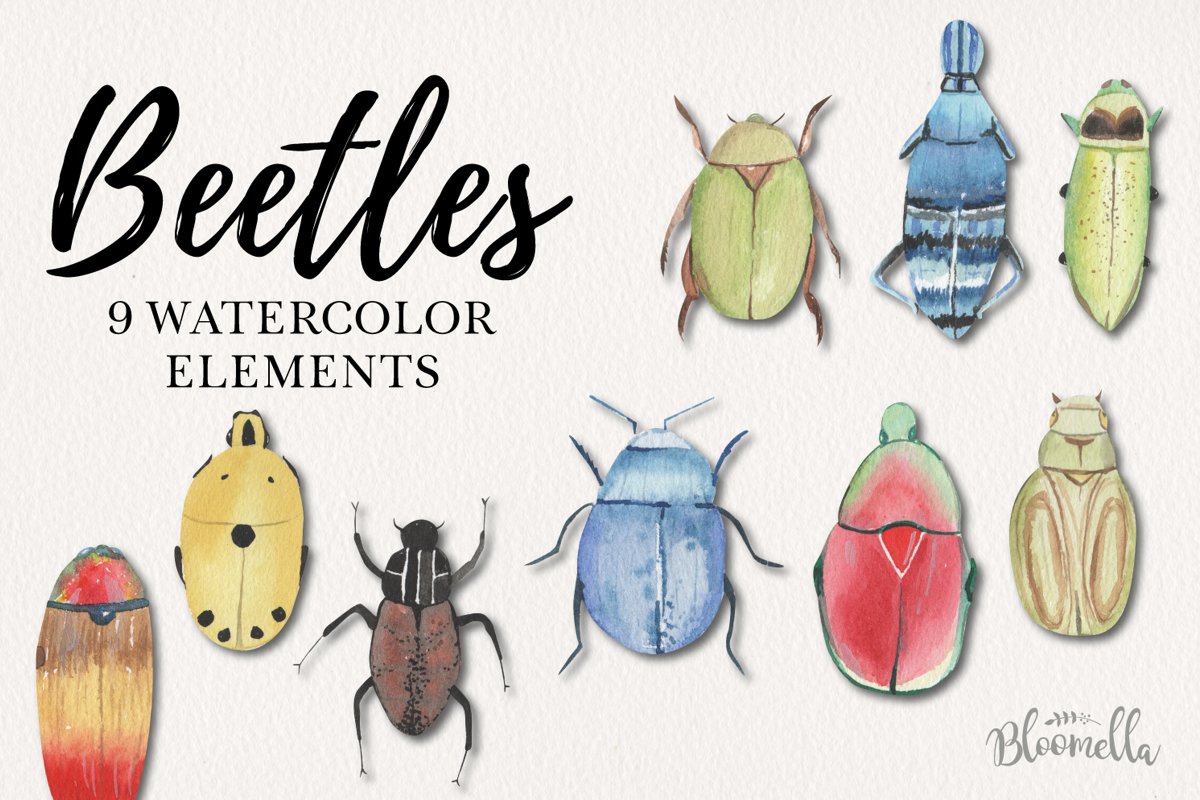Fun Beetle Watercolor Elements Bug Icons Pretty example image 1
