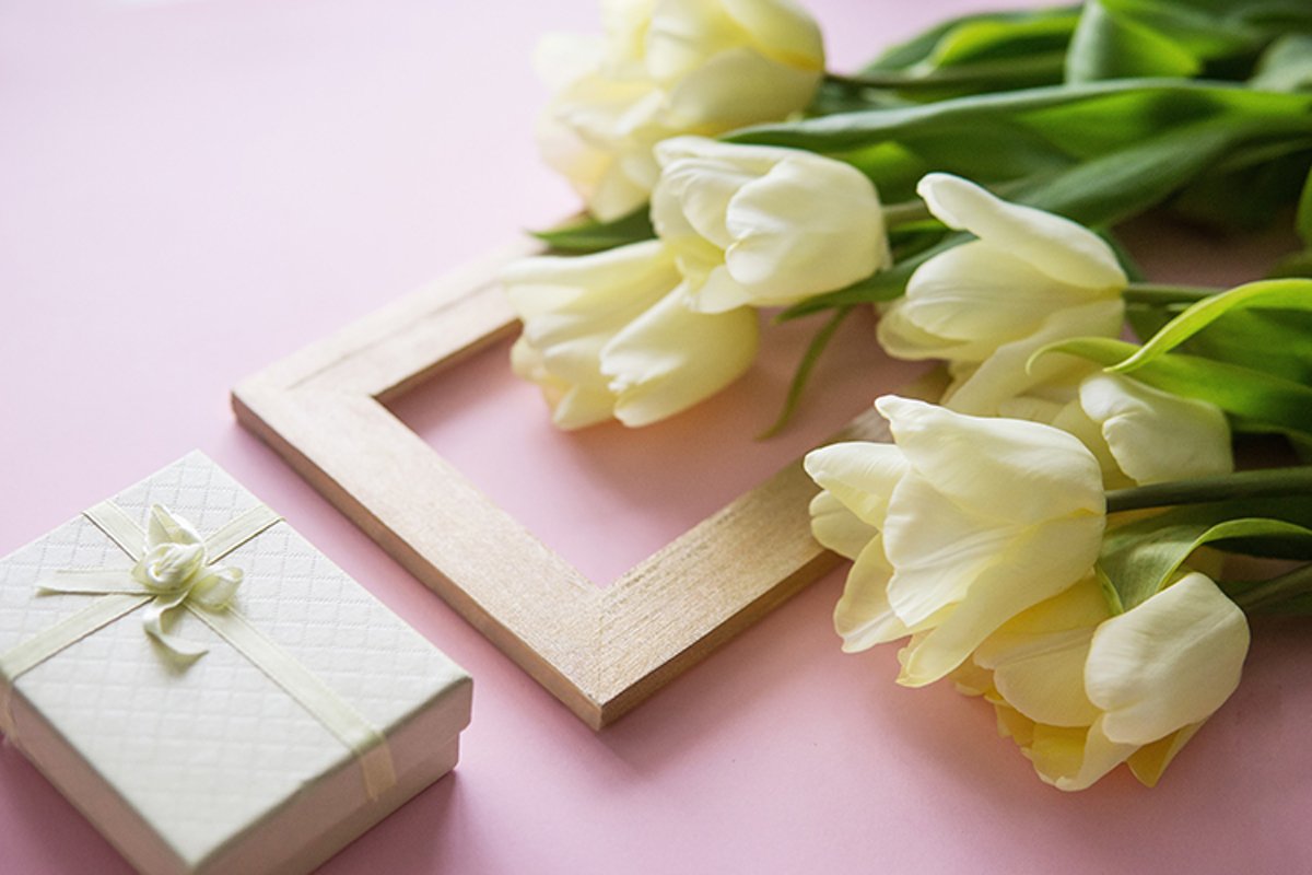 Yellow Tulip flowers are arranged on a pink background. example image 1