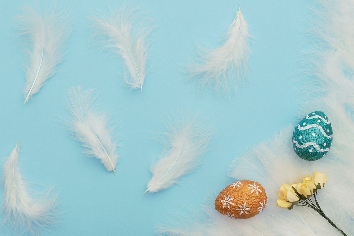 Easter eggs with yellow spring flowers and white feathers example image 1