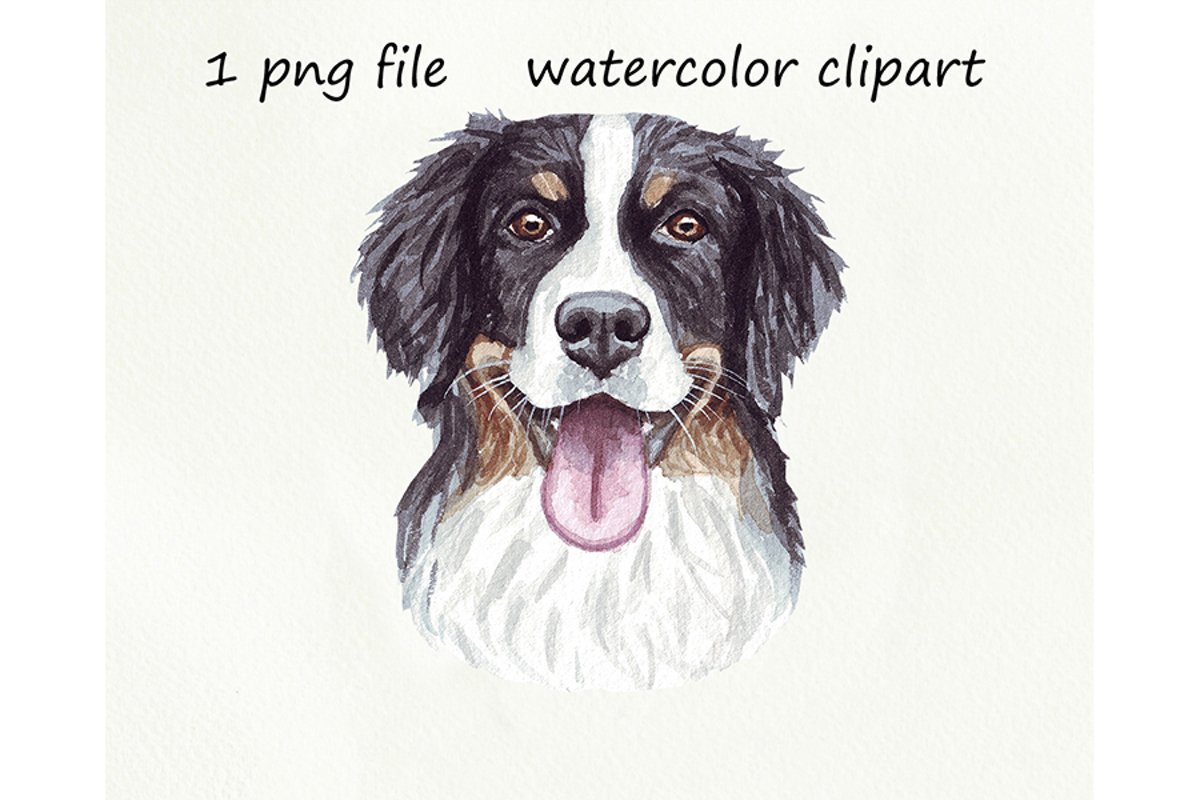 Watercolor dog png, Bernese Mountain Dog, hand drawn example image 1