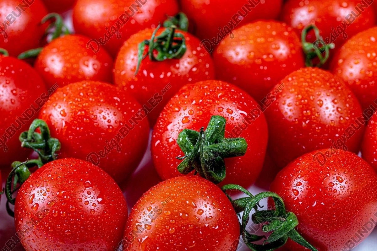 Stock Photo - Close-up of a heap of tomatoes example image 1