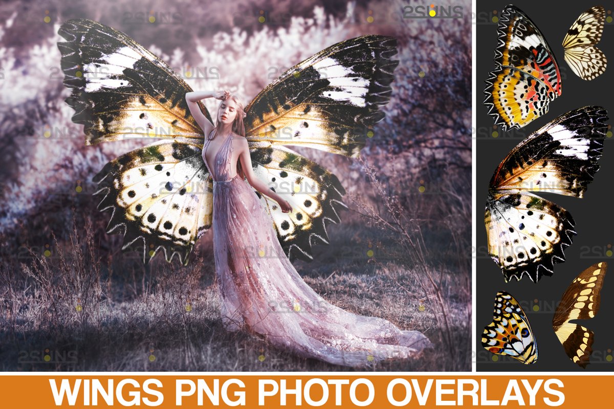 Colorful Butterfly Wings Photoshop Overlay example image 1