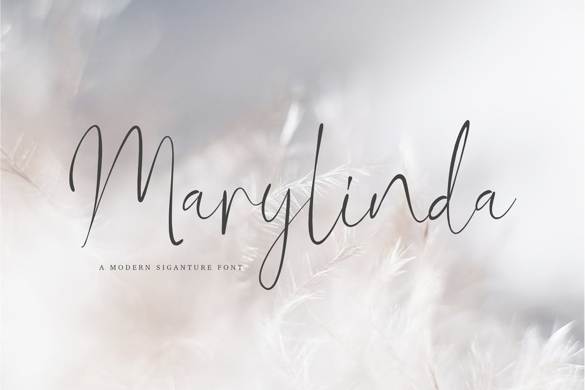 Marylinda Beauty and Modern Signature Font example image 1