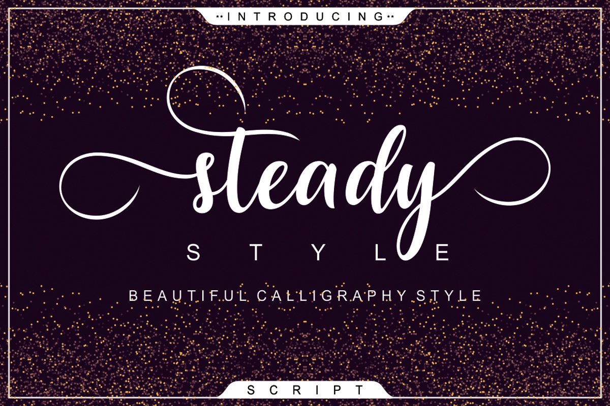 Steady Style Script example image 1