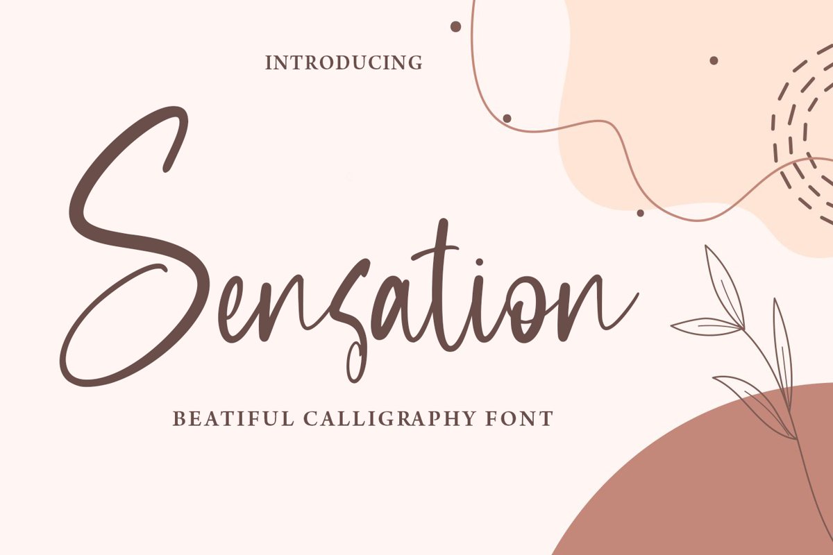 Sensation - Beautiful Calligraphy Font example image 1