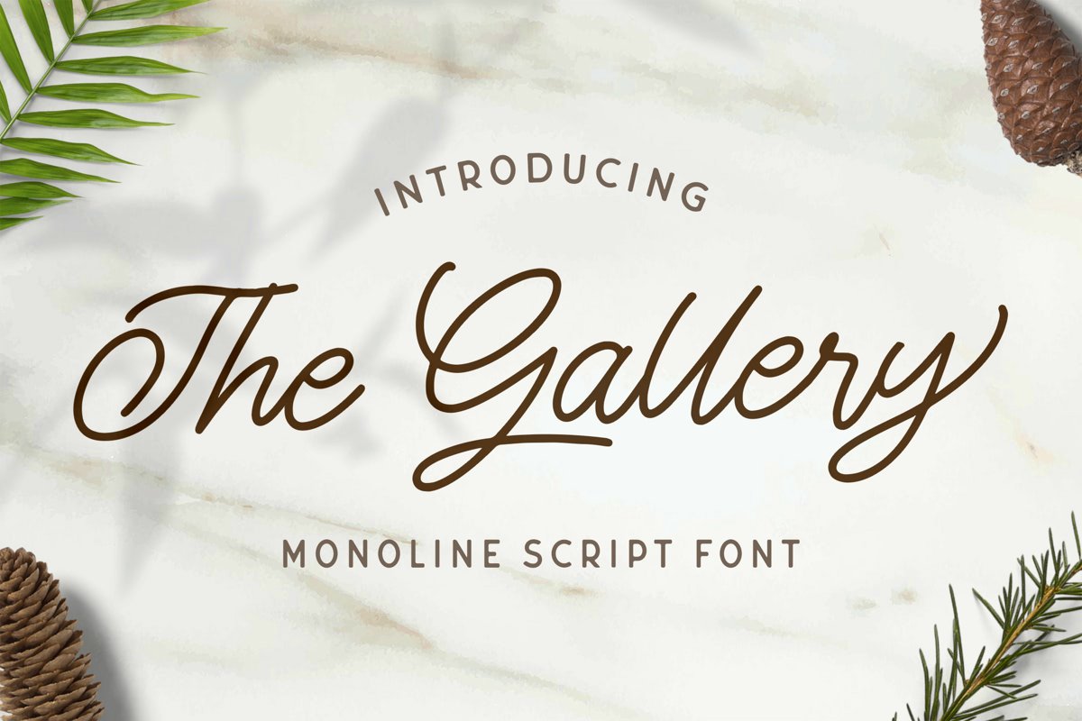 The Gallery - Monoline Script Font example image 1