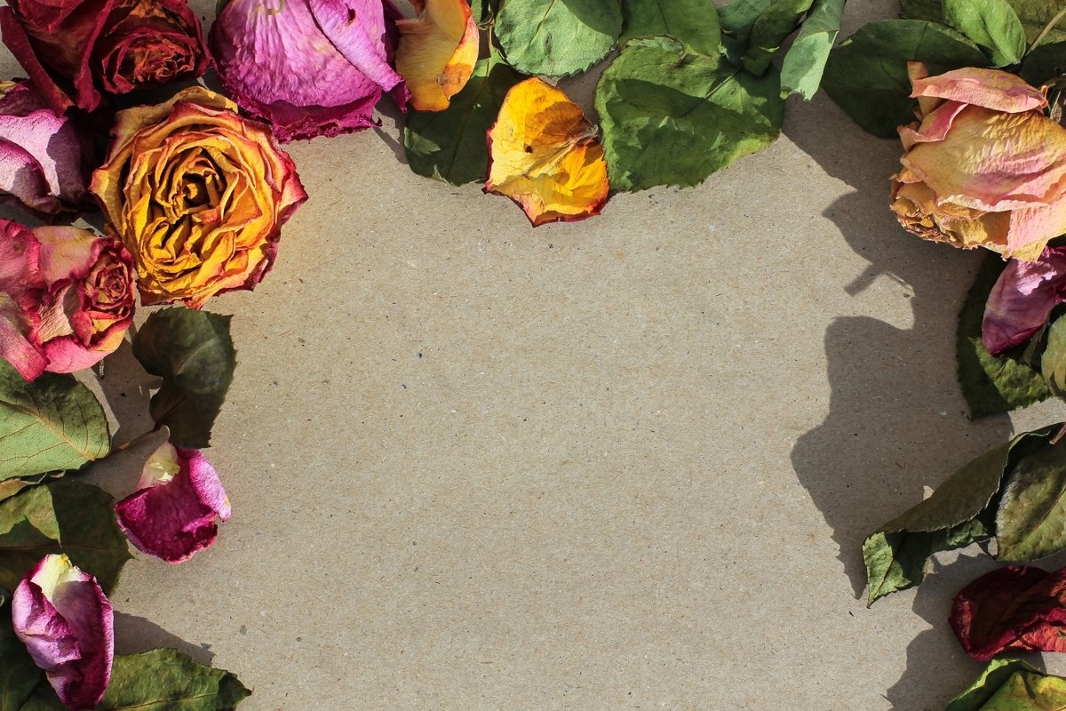 Frame of laid out dry buds of roses, petals, leaves example image 1