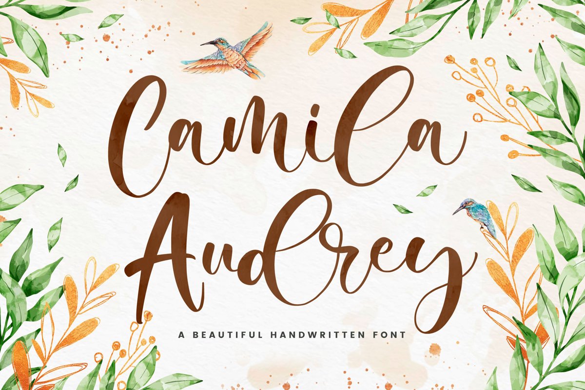 Camila Audrey - Beautiful Script Font example image 1