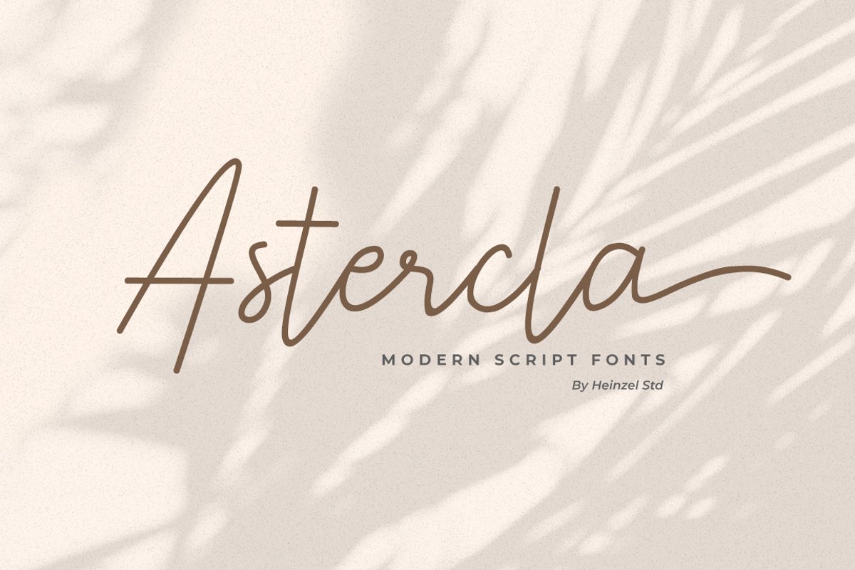 Astercla example image 1
