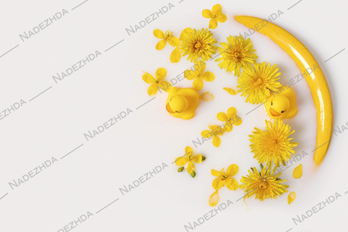 Dandelions and toy ducklings in milk example image 1