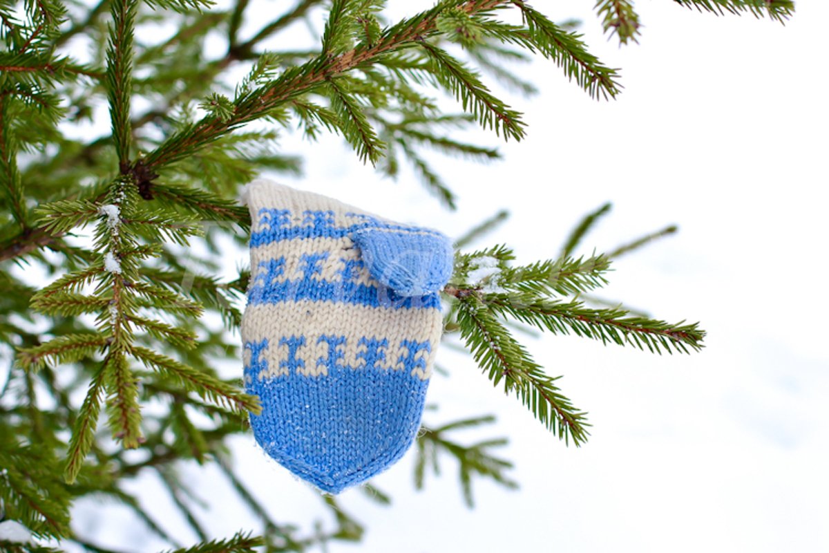 The concept of wintertime, holidays. example image 1